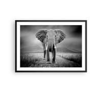 Poster 70x50cm Elefante natura selvaggia natura Stampe Immagini Quadri Moderni