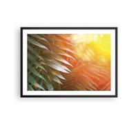 Poster 70x50cm Esotico Foglie Alba Stampe Immagini Quadri Moderni Murale