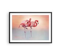Poster 70x50cm Fenicotteri Esotismo Uccelli Stampe Immagini Quadri Moderni