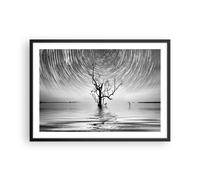 Poster 70x50cm In bianco e nero albero lago Stampe Immagini Quadri Moderni