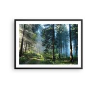 Poster 70x50cm La foresta l'alba il sole Stampe Immagini Quadri Moderni Murale