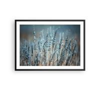 Poster 70x50cm Lavanda Lama Fiore Stampe Immagini Quadri Moderni Murale