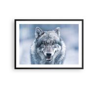 Poster 70x50cm Lupo predatore natura selvaggia Stampe Immagini Quadri Moderni