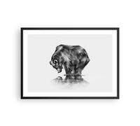 Poster 70x50cm orso animale Stampe Immagini Quadri Moderni Murale