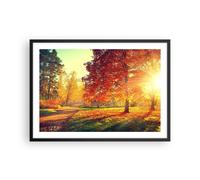 Poster 70x50cm parco autunno albero Stampe Immagini Quadri Moderni Murale