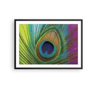 Poster 70x50cm Pavoni piume arcobaleno Stampe Immagini Quadri Moderni Murale