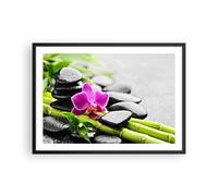 Poster 70x50cm Pianta pietre bambù spa Stampe Immagini Quadri Moderni Murale