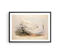 Poster 70x50cm Uccello bianco airone Stampe Immagini Quadri Moderni Murale