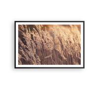 Poster 91x61cm Boho Spighe Di Grano Campo Stampe Immagini Quadri Moderni Murale