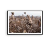 Poster 91x61cm Boho Spighe Di Grano Erba Stampe Immagini Quadri Moderni Murale