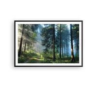 Poster 91x61cm La foresta l'alba il sole Stampe Immagini Quadri Moderni Murale
