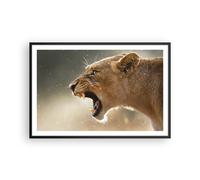 Poster 91x61cm Leone Leonessa Zanne Stampe Immagini Quadri Moderni Murale