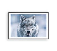 Poster 91x61cm Lupo predatore natura selvaggia Stampe Immagini Quadri Moderni