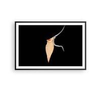Poster 91x61cm Nero Donna Cappello Stampe Immagini Quadri Moderni Murale