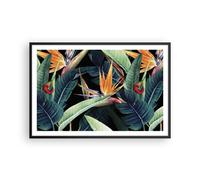 Poster 91x61cm Pianta tropicale fiore Stampe Immagini Quadri Moderni Murale