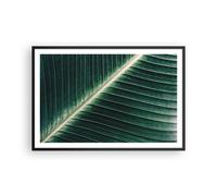 Poster 91x61cm Verde Foglia Tropicale Stampe Immagini Quadri Moderni Murale