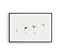 Poster 91x61cm Volo uccello airone Stampe Immagini Quadri Moderni Murale