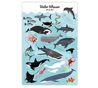 Poster "Animali marini sott'acqua ist was los!" (61 cm x 91,5 cm)