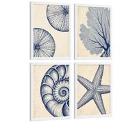 Poster Arte Murale Costiera Blu con Corallo, Nautilus e Stella Marina