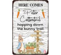 Poster artistico con coniglietto pasquale primaverile in metallo, arriva Peter Cottontail che salta lungo il sentiero dei conigli, mazzo di uova e pulcino per giardino in fattoria, 12x16 pollici