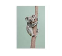 Poster artistico da parete con koala che si arrampica sul tronco di eucalipto invisibile contro il cielo verde salvia, decorazione moderna da appendere, 60 x 90 cm
