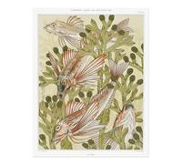 Poster artistico da parete elegante vita marina - stampa decorativa sull'oceano