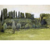 Poster artistico da parete paesaggio sereno - tranquilla scena naturale...