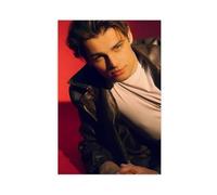 Poster artistico esclusivo con ritratto dell'attore Noah LaLonde, 7 poster su tela, decorazione per camera da letto, ufficio, camera da letto, regalo, 30 x 45 cm