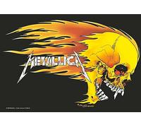 Poster / Bandiera In Tessuto Grande Metallica Teschio E Fiamme 1100Mm X 750Mm