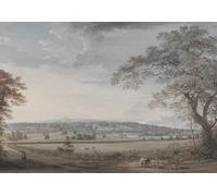 Poster Buoi Vista Pastorale Campo Dorato Wall Art - 16x12/20x16/24x18/36x24