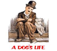 Poster Charlie Chaplin A Dog's Life - Commedia Wall Art -...