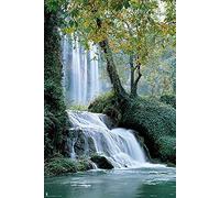 Poster "Close Up", 61 x 91,5 cm + 2 poster nero con ganci