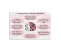 poster Cognitive Functions Chart, Educational Brain Poster, Science Classroom Decor, Biology Teacher Supplies for High School (Unframed,08x12inch(20x30cm))
