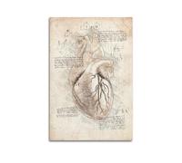 Poster con anatomia cardiaca, decorazione artistica da parete per interni, stampa per interni, decorazione per bar, ristorante, estetica, soggiorno, 30 x 45 cm, senza cornice