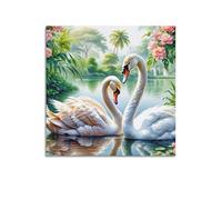 Poster con animali, motivo: cigni muti, lago tropicale, rose rosa, loto, giardino botanico, sereno, decorativo, per camera da letto, opera d'arte, 50 x 50 cm
