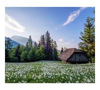Poster con Chalets Montagne Prairie Fleurie Primavere (36 x 42 cm)