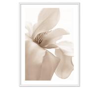 Poster con cornice moderno Fiore Arredo Casa Parete Stampa con Fiori Stampe