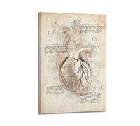 Poster con diagramma di anatomia cardiaca, decorazione artistica da parete per interni, stampa per interni, decorazione per bar, ristoranti, soggiorno, 40 x 60 cm, con cornice