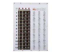 Poster con Grafico degli Accordi di Mandolino, Formato di Facile Lettura, Stampa Trasparente, Scelta Perfetta, con lo Strumento Necessario per i Suonatori di Mandolino