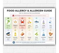 Poster con guida per allergie alimentari e allergeni, formato A3 - 14 allergeni regolamentati nel Regno Unito - Tabella di sicurezza da parete - Cucina, ristorante, caffetteria - Stampa educativa