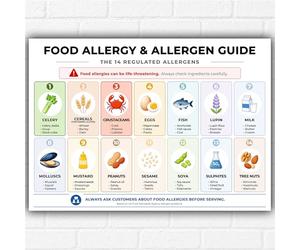 Poster con guida per allergie alimentari e allergeni, formato A3 - 14 allergeni regolamentati nel Regno Unito - Tabella di sicurezza da parete - Cucina, ristorante, caffetteria - Stampa educativa
