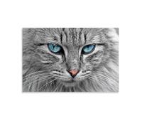 Poster con ritratto di un gatto soffice con gli occhi azzurri, arte vintage, decorazione artistica da parete, decorazione estetica, soggiorno, camera dei bambini, dormitorio, bar, bagno, adatto per
