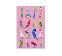 Poster con specie di pappagallo, arte vintage, decorazione artistica da parete, decorazione estetica, soggiorno, camera dei bambini, dormitorio, bar, bagno, adatto per camera da letto, palestra, 20 x