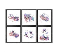 Poster Da Parete Anatomia Dell'Orecchio Interno Stampa Poster Audiologo Regalo Medico Dell'Udito Regalo Clinica Decorazione Della Parete Arte Medica Decorazione Dell'Ufficio Del Medico 30X40Cmx6