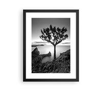 Poster da Parete Albero Bianco E Nero Vista Cornice Nera 30x40cm Decorativi Stampa da Parete Quadri Moderni Soggiorno Camera da Letto Cucina Decorazione Murale Wall Art Immagini - P2BPA30x40-4297