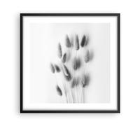 Poster da Parete Cornice Nera 50x50cm Erba Bianco E Nero Fiori Decorativi Stampa da Parete Decorazione Murale Wall Art Quadri Moderni Soggiorno Camera da Letto Cucina Immagini - P2BAC50x50-5401