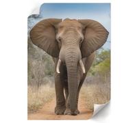 Poster Decorativi 42x59,4 cm | Formato A2 | L'elefante e la maestà