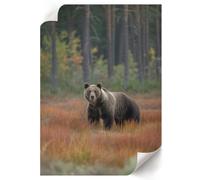 Poster Decorativi 42x59,4 cm | Formato A2 | Orso nella foresta