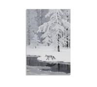 Poster decorativo da appendere con una volpe argentata che attraversa il lago ghiacciato, la punta della coda che spazzano cristalli di ghiaccio, con una foresta di rime sulla riva opposta, poster