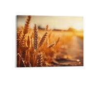 Poster decorativo da parete per il Ringraziamento, campo di grano dorato al tramonto, arte da parete su tela incorniciata per bagno camera dei bambini, divertenti opere d'arte autunnali raccolte
